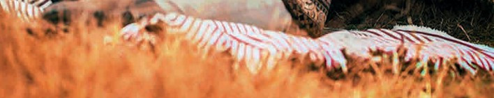 Just Superfund Product Booklet Footer